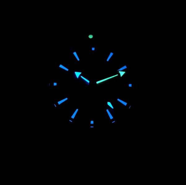 SEAMASTER PROFESSIONAL PLANET OCEAN 600M STEEL CASE BLUE DIAL