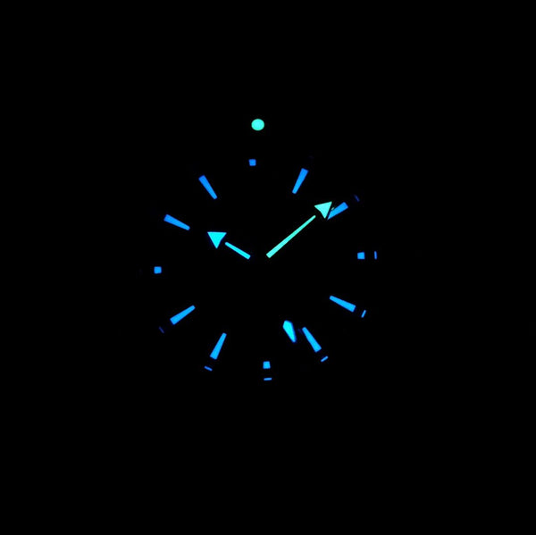 SEAMASTER PROFESSIONAL PLANET OCEAN 600M STEEL CASE BLACK DIAL