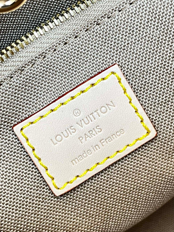 ONTHEGO 25 TELA MONOGRAMMA MARRONE BIANCO