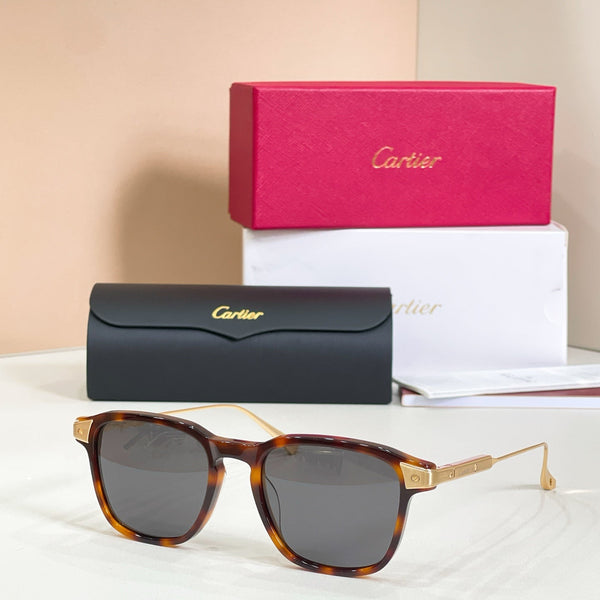 Cartier CT0075S-002 Havana Gold Sunglasses