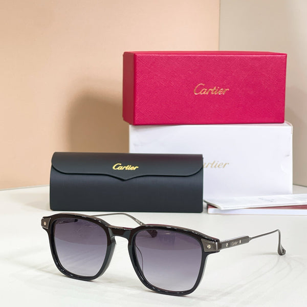 Cartier CT0075S-002 Havana Gold Sunglasses