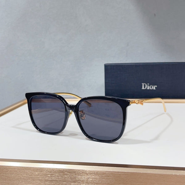 CD Sunglasses 103
