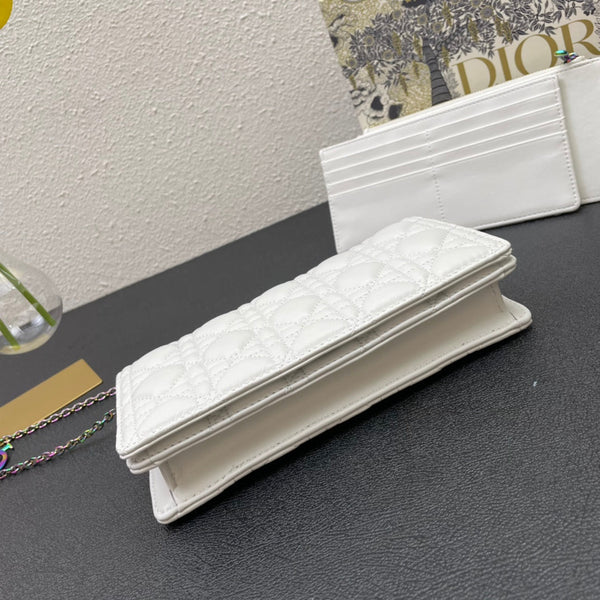 CARO SLIM POUCH 21 BAG IN WHITE CALFSKIN