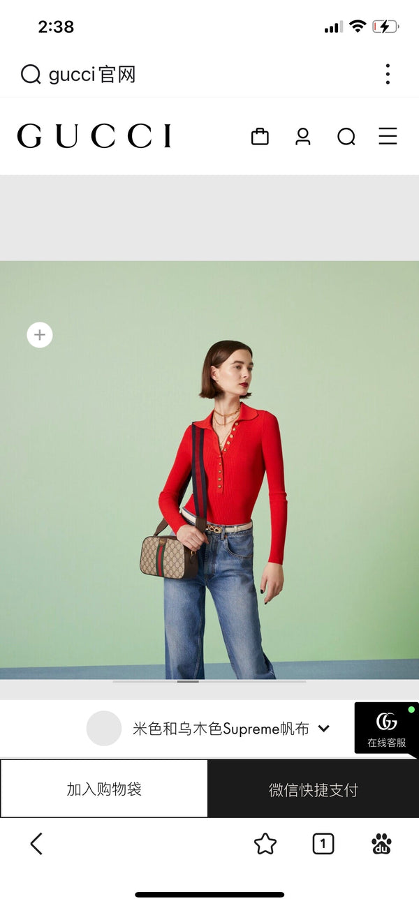 GG OPHIDIA SMALL 24 IN TELA BEIGE E PELLE DI VITELLO MARRONE