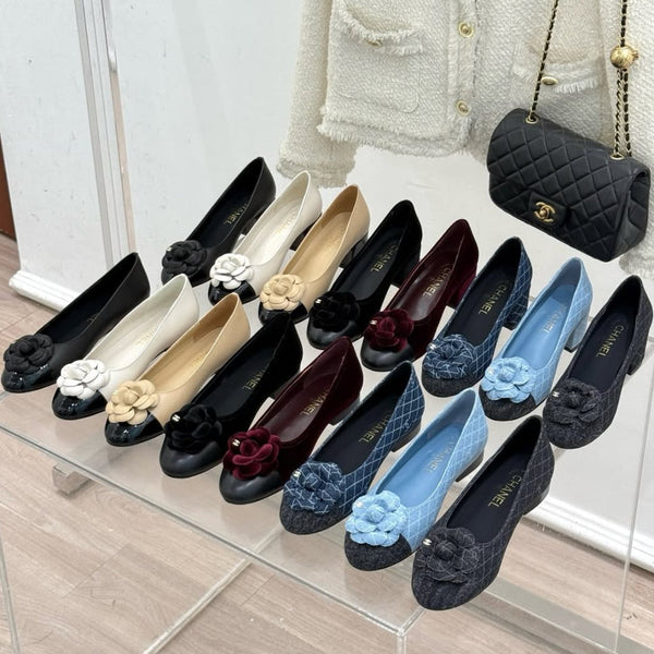 CC 25S Fiore di balletto