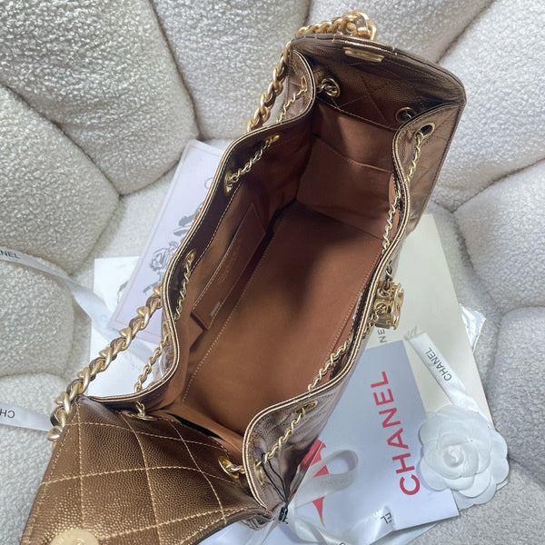 CC 25C Hobo Bags 30cm Bronze Metalic Grained Calfskin