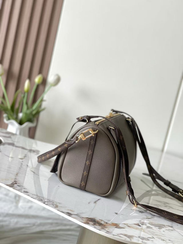 LV Express Bag 26cm Soft Gray Mix Brown Calfskin