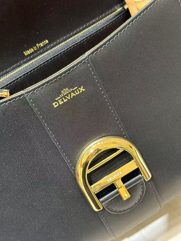 Delvaux Brillant Mini Bag 20cm Black in Cowhide