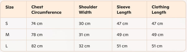 Loewe 25 T-Shirt V-Neck Grey Cotton