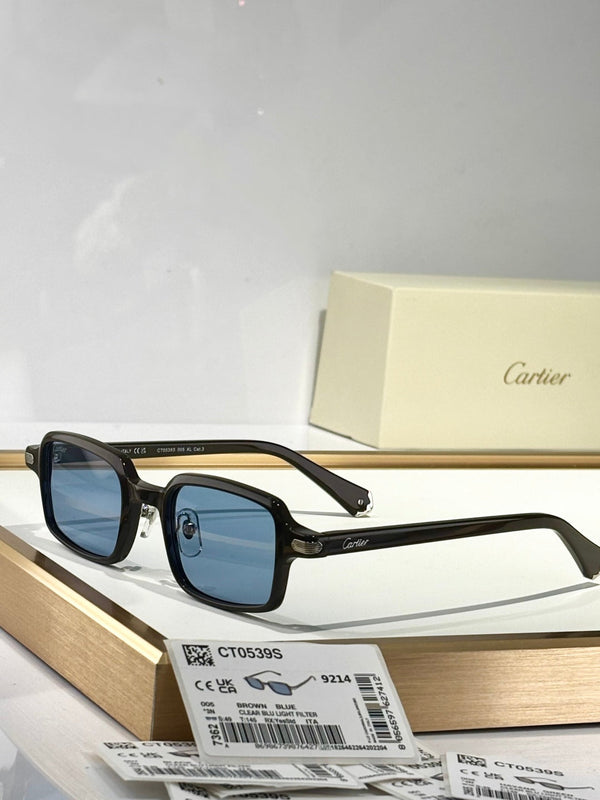 PREMIÈRE SQUARE FRAME SUNGLASSES CT0539S IN ACETATE