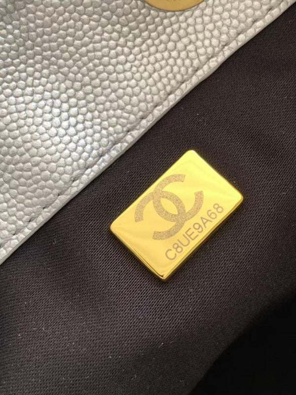 CC 25C Hobo Bag 30cm Silver Metalic Grained Calfskin