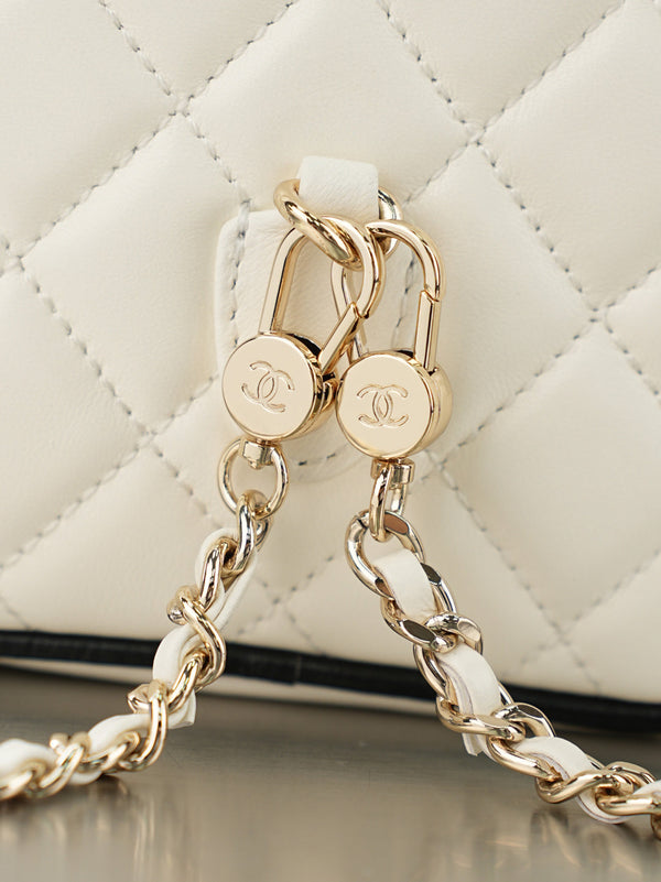 CC 𝑨𝑷𝟑𝟕𝟓𝟑 Mini Backpack White Lambskin