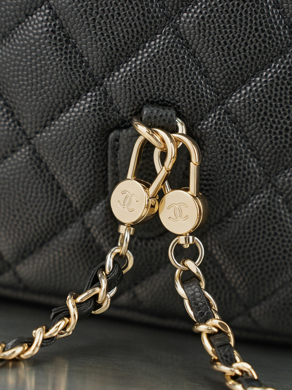 CC 𝑨𝑷𝟑𝟕𝟓𝟑 Mini Backpack Black Caviar