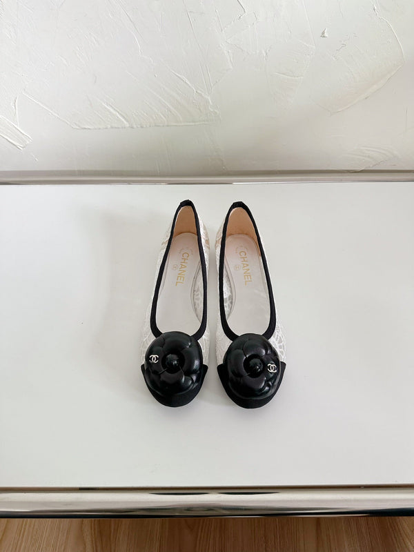 Ballet Flats White Lace Mesh Black Grosgrain Flower