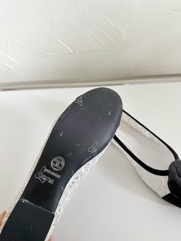 Ballet Flats White Lace Mesh Black Grosgrain Flower