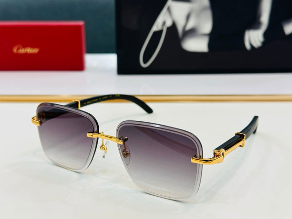 C DE RIMLESS RECTANGULAR FRAME SUNGLASSES CT0607S IN METAL AND WOODEN