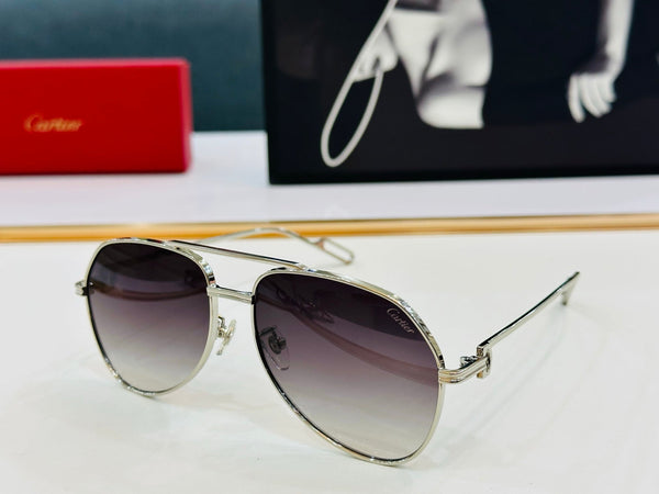C DE AVIATOR FRAME SUNGLASSES CT0110S IN METAL