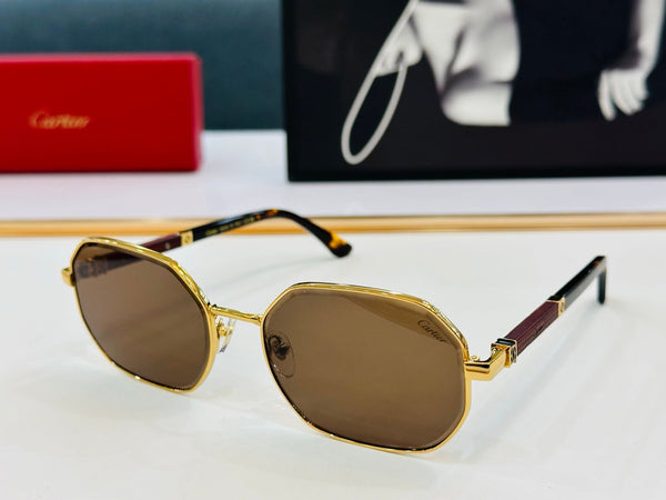PREMIÈRE GEOMETRIC FRAME SUNGLASSES CT0492S IN METAL