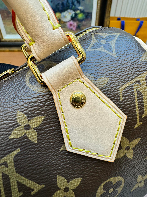 LV Nano Speedy 20cm Brown Monogram Canvas 206009