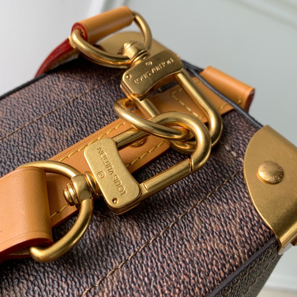 Lv Soul Trunk East West 29 Brown Monogram