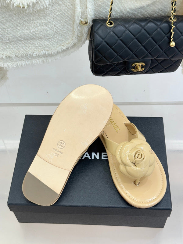 CC 26C Camélia Printemps Bottes Cuissardes Brevetées Beige