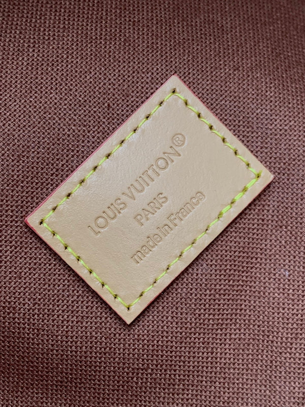 LV Discovery PM Backpack Brown Monogram Landscape Canvas