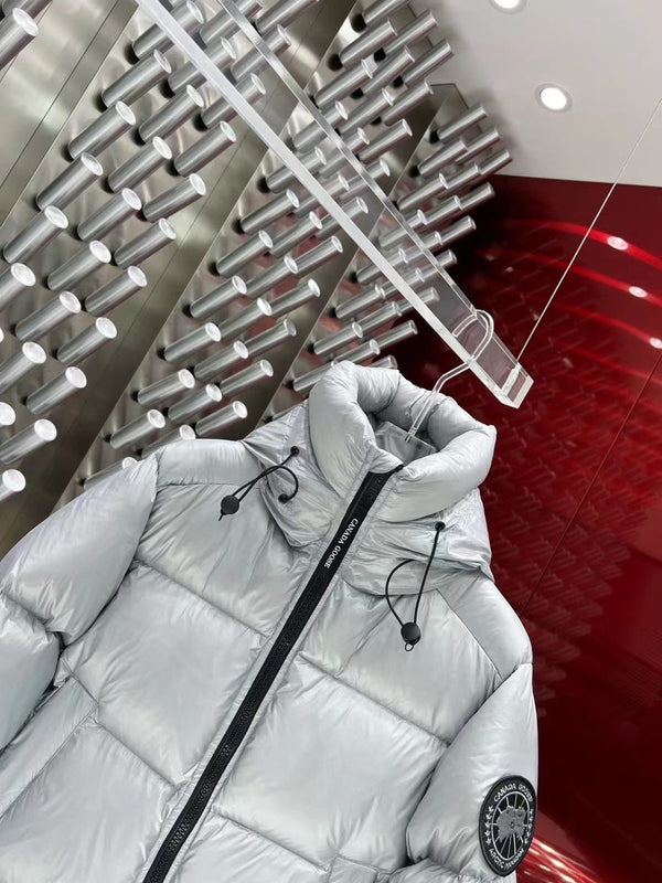 C. Goose Down jacket Grey Silver Polyester 0038