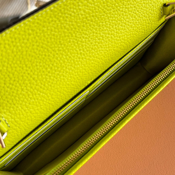 Gucci Marmont Chain Wallet Ebony mix Light Green Canvas Leather 254942