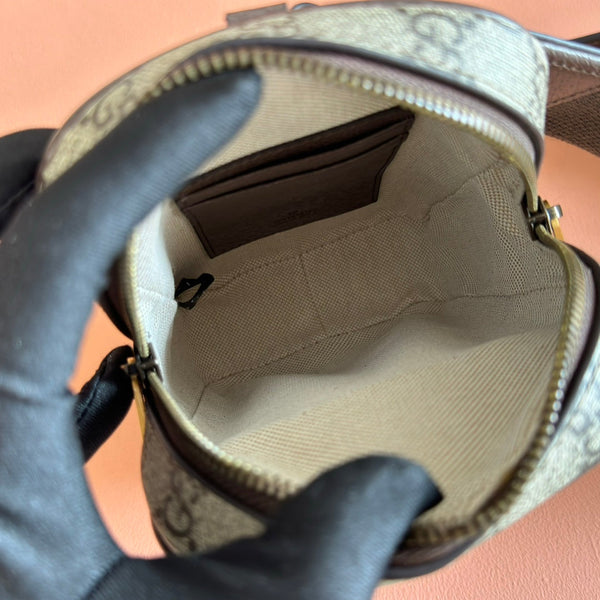 GG Ophidia Mini Messenger Beige& Dark Brown GG Monogram Fabric 272069