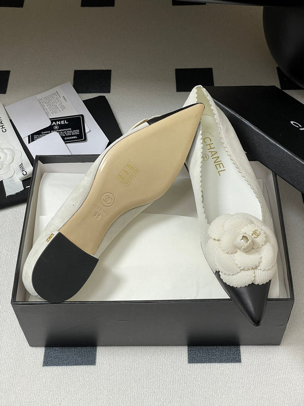 CC 25C Classic Camellia Pointed High Heels Flat 15mm White Suede 247609