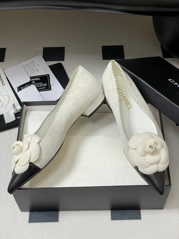 CC 25C Classic Camellia Pointed High Heels Flat 15mm White Suede 247609