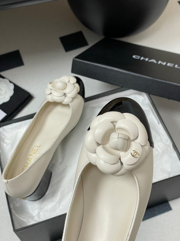 CC 25S Fiore di balletto