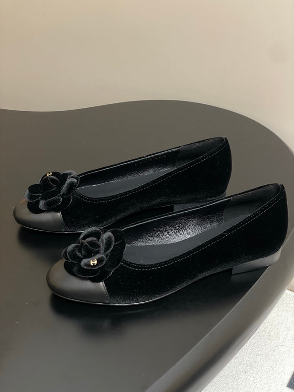 CC 25S Fiore di balletto