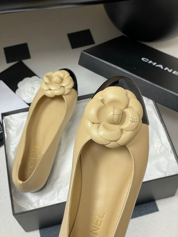 CC 25S Fiore di balletto