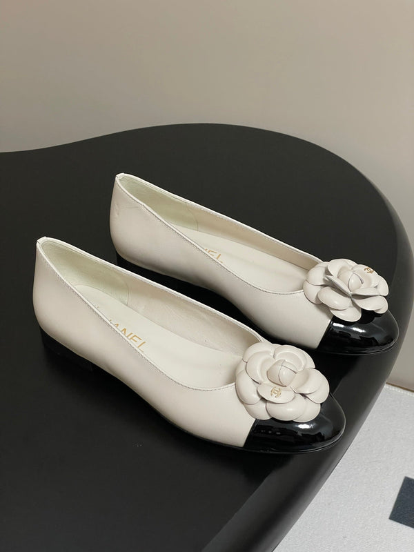 CC 25S Fiore di balletto