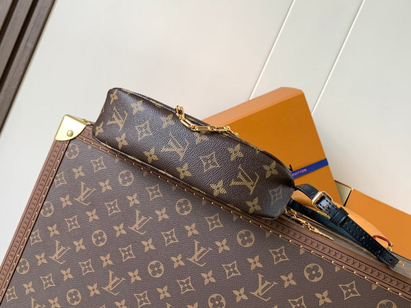 LV Catchy PM 24cm Brown Monogram Canvas & Cowhide