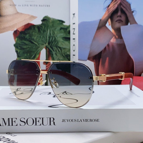 SIGNATURE C DE AVIATOR FRAME SUNGLASSES 561995 IN METAL