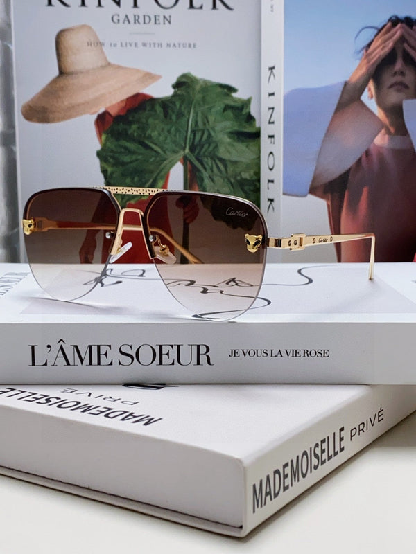 C DE AVIATOR FRAME SUNGLASSES 543538 IN METAL