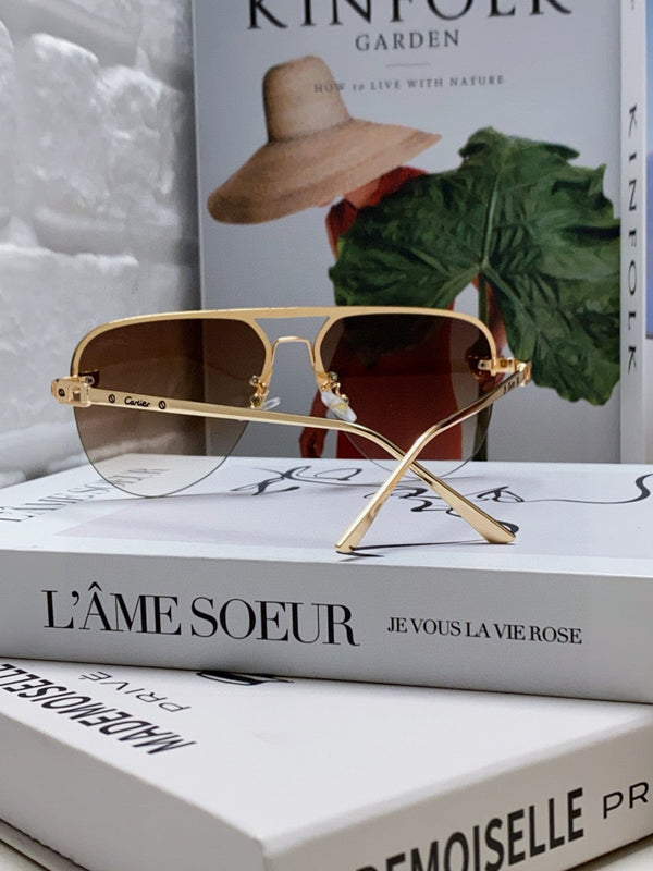 C DE AVIATOR FRAME SUNGLASSES 543538 IN METAL