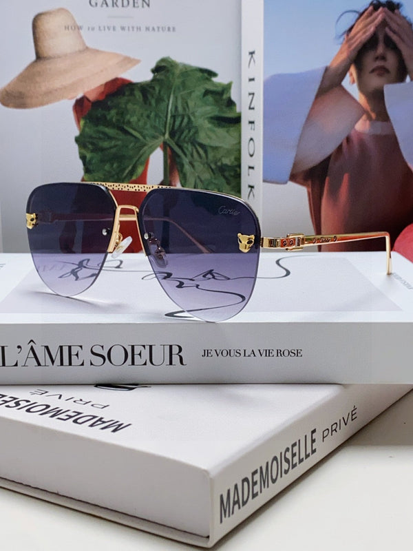 C DE AVIATOR FRAME SUNGLASSES 543538 IN METAL