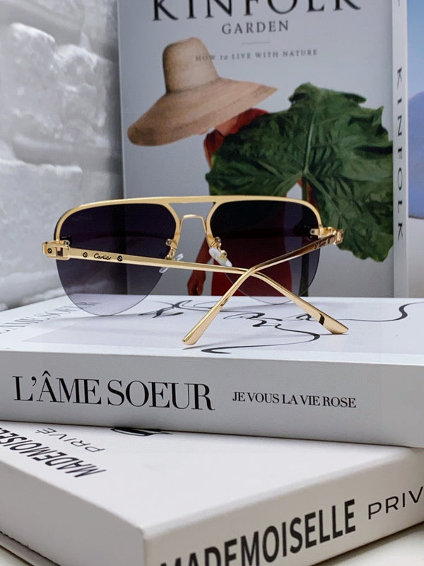 C DE AVIATOR FRAME SUNGLASSES 543538 IN METAL