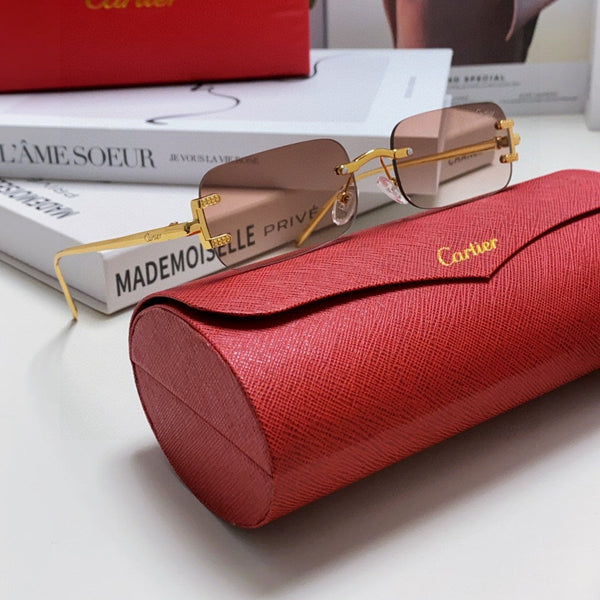 SIGNATURE C DE RECTANGULAR FRAME SUNGLASSES 575776 IN METAL