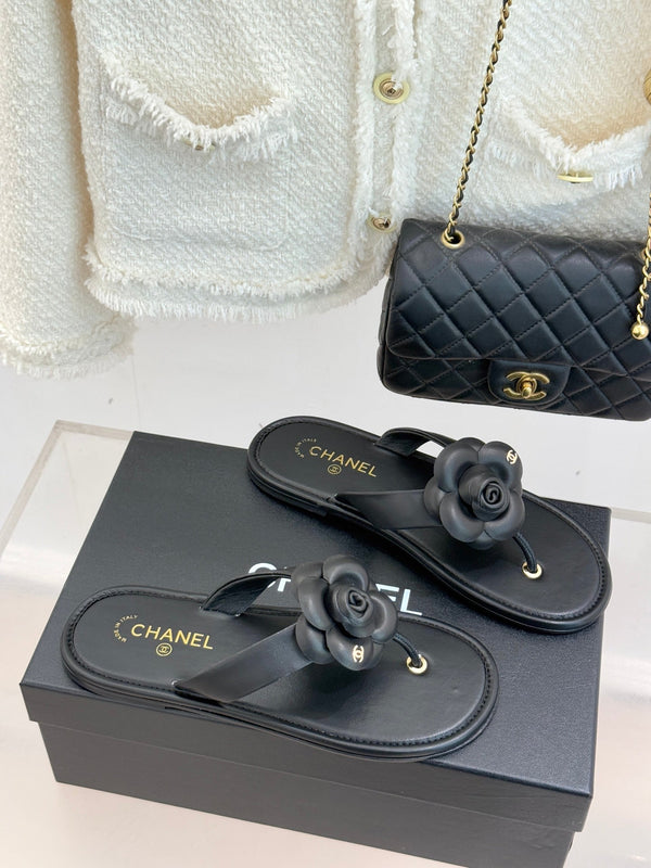 CC 26C Camélia Printemps précoce Cuir de veau noir