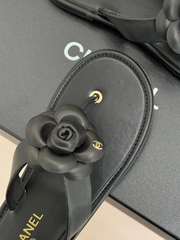 CC 26C Camélia Printemps précoce Cuir de veau noir