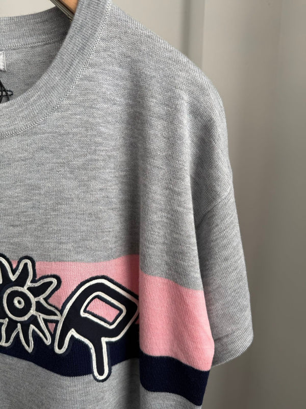 CD 2026 Knit Short-Sleeve T-Shirt Grey Cotton 482700