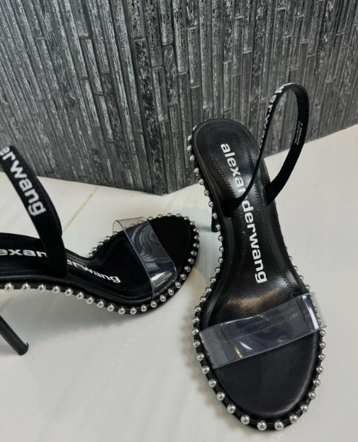 Alexander Wang Nova Logo Sandal in Black Leather
