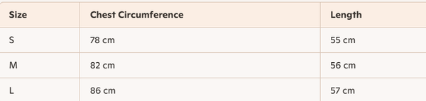 Loewe 25 Floral Ombré Crewneck Short-sleeved T-shirt Cotton Viscose 222659