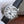 DRIVE DE CARTIER QUADRANTE BIANCO FASI LUNA 