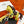 HM Yellow Horse Charm