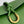 BV Liberta Crossbody Bag Buckle 30cm Green Pepper Cowhide